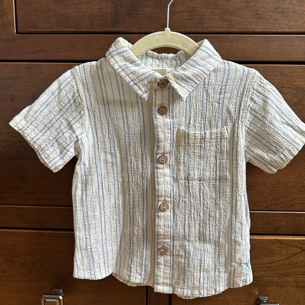 Pink chicken Striped Shirt
